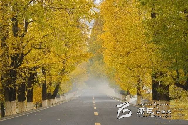 康定新都橋，有一條黃金大道通往夢中的天堂