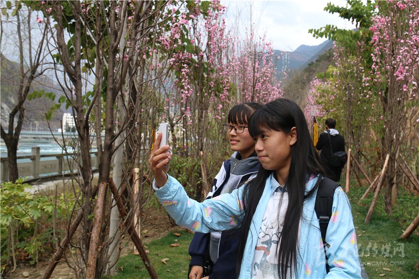 春光俏！“醉”是瀘定春三月，踏青賞花正當(dāng)時