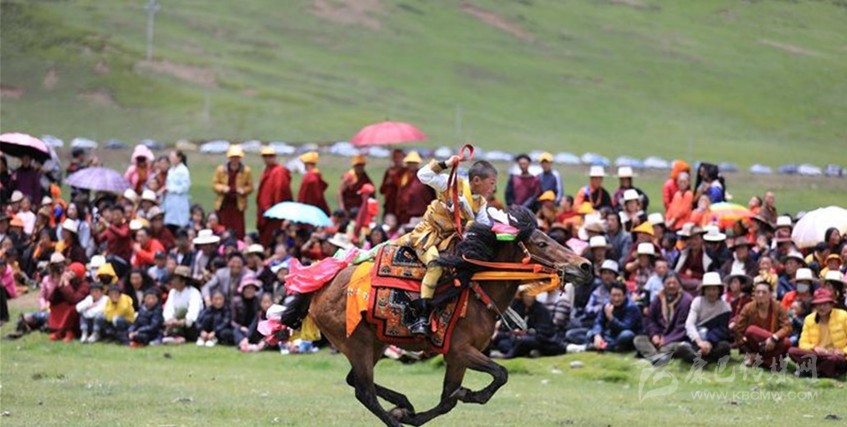 格?；ㄊ㈤_ 牧民馬背上一顯身手