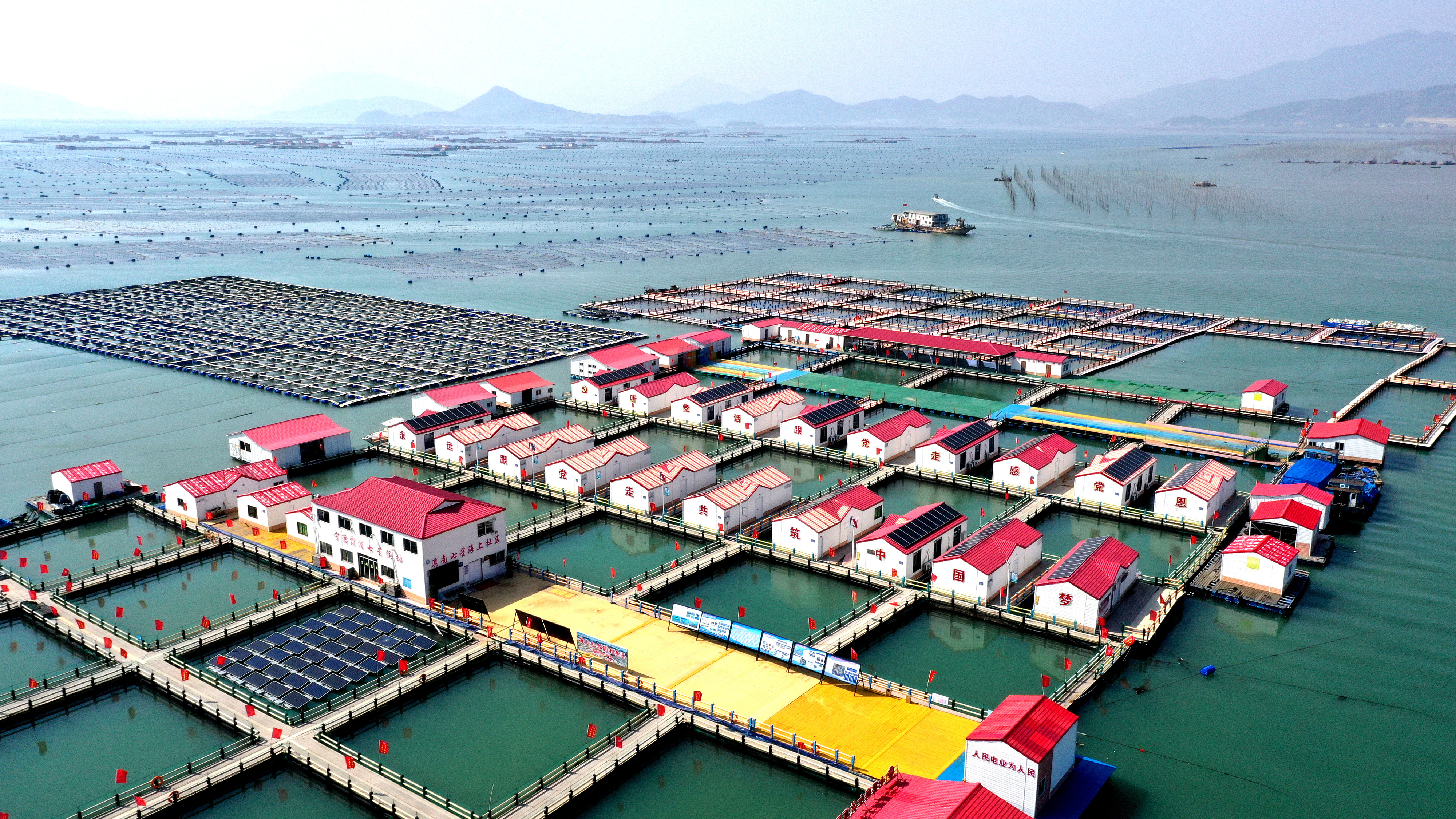 2024年3月20日，福建省寧德市，霞浦縣溪南鎮(zhèn)七星村漁排養(yǎng)殖示范區(qū)，漁民駕駛養(yǎng)殖船進(jìn)行海參養(yǎng)殖作業(yè)。